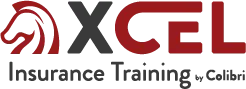 XCEL Solutions logo