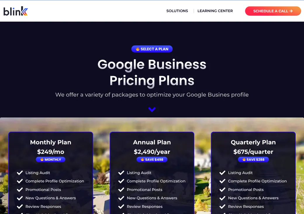 Screenshot of Blink's pricing page at thinkblink.io