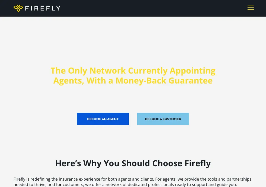 Screenshot of Firefly's home page at fireflyagency.com